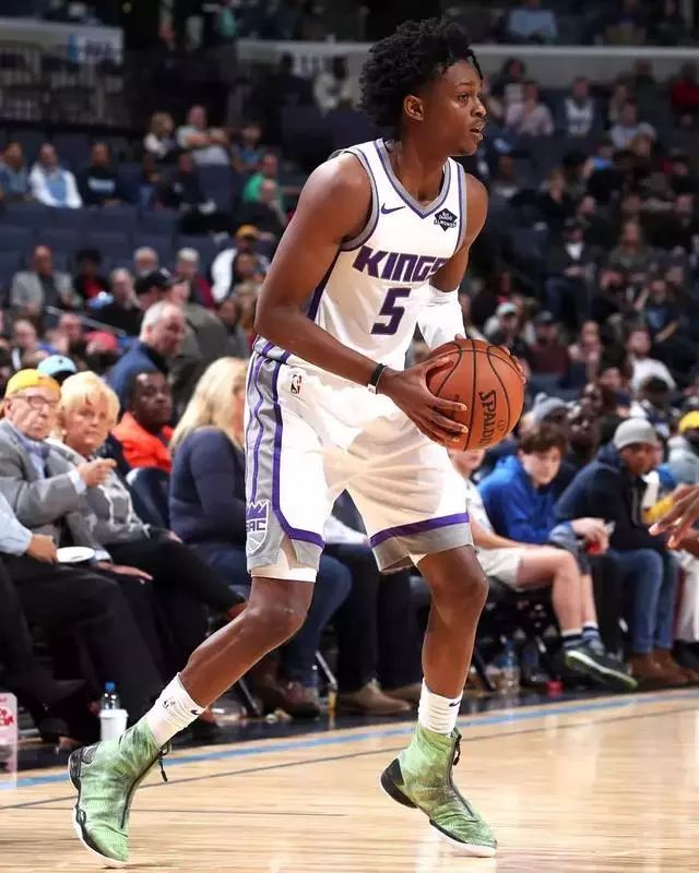 它们在杨浦 它们在杨浦