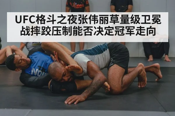 wrestling grapple training（LEYU）